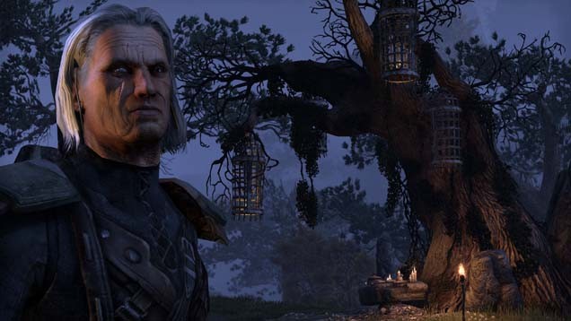 The Elder Scrolls Online: Das Kopfgeld-System im Video