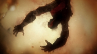 God of War - Ascension: Zwei neue Videos & Mehrspieler-Beta