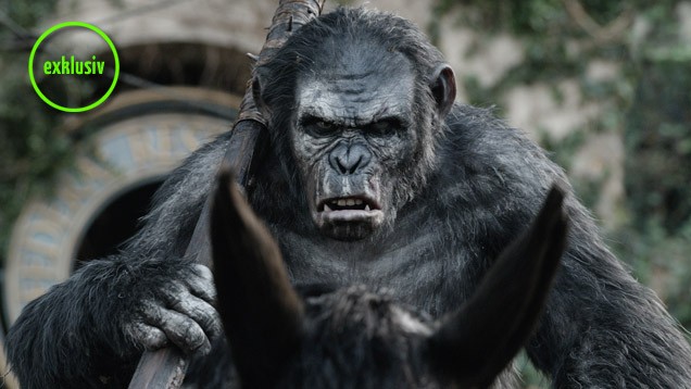 Planet der Affen - Revolution: Regisseur Matt Reeves über die Darsteller