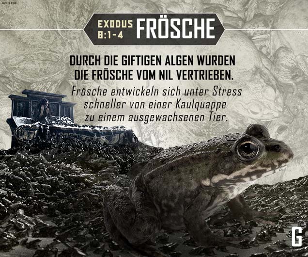 exodus plage froesche