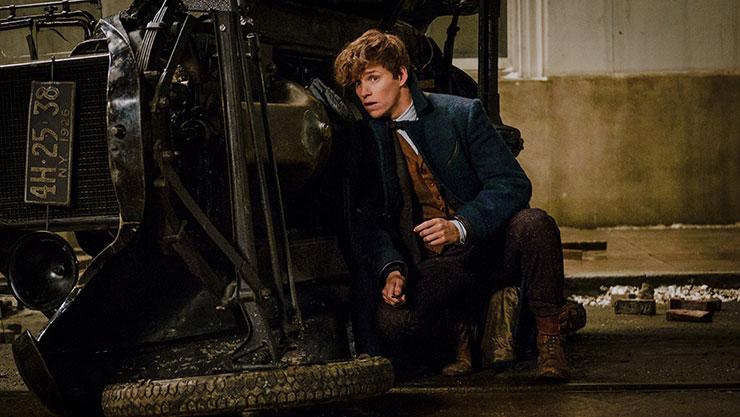 Phantastische Tierwesen: Eddie Redmayne bleibt nicht der Protagonist