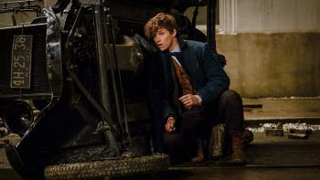 Phantastische Tierwesen: Eddie Redmayne bleibt nicht der Protagonist