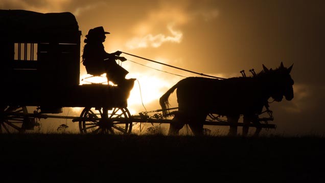 Ab Donnerstag im Kino: The Homesman